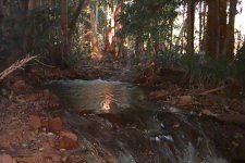 Micro Hydro Systems in the Northern Territory